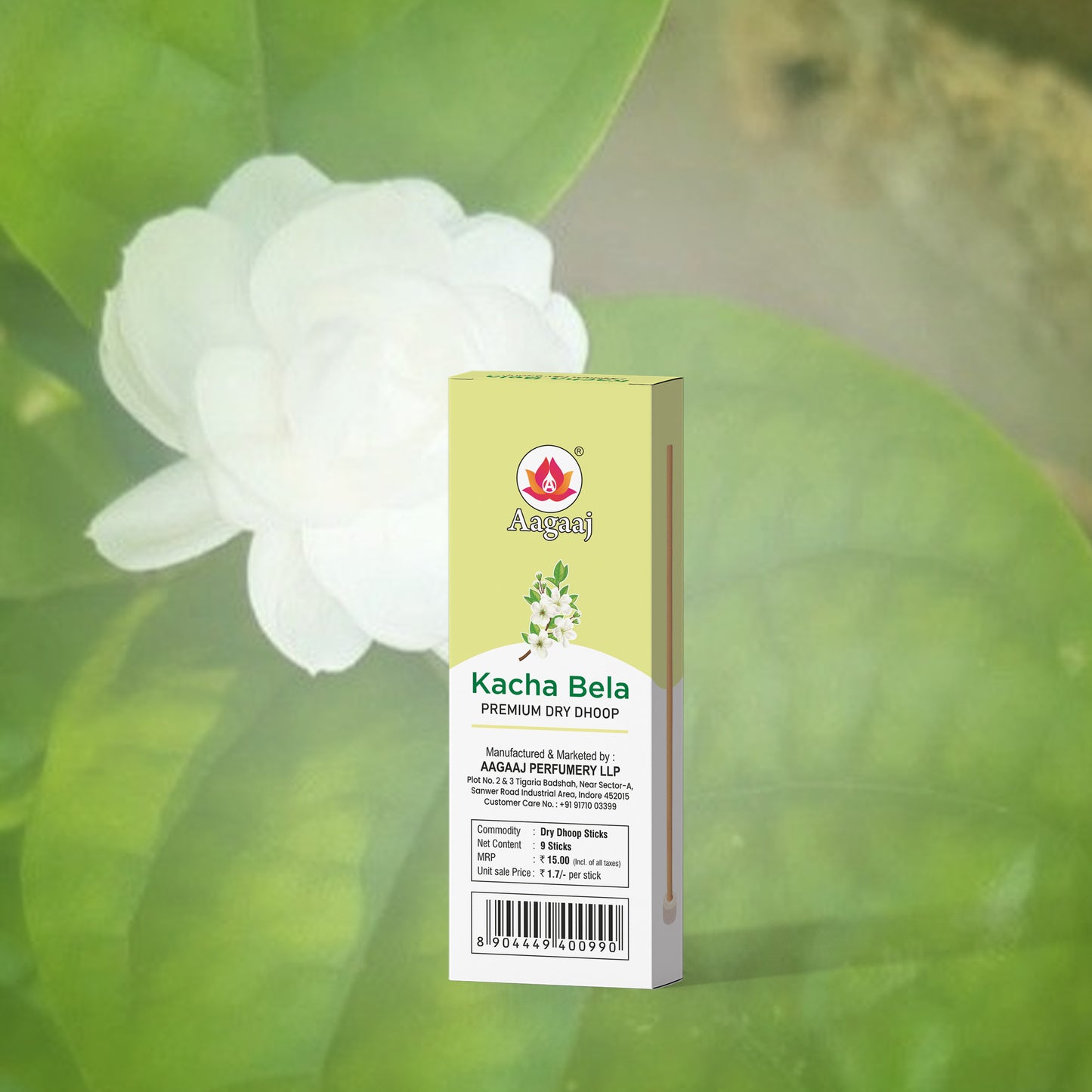 kacha Bela 9 Sticks